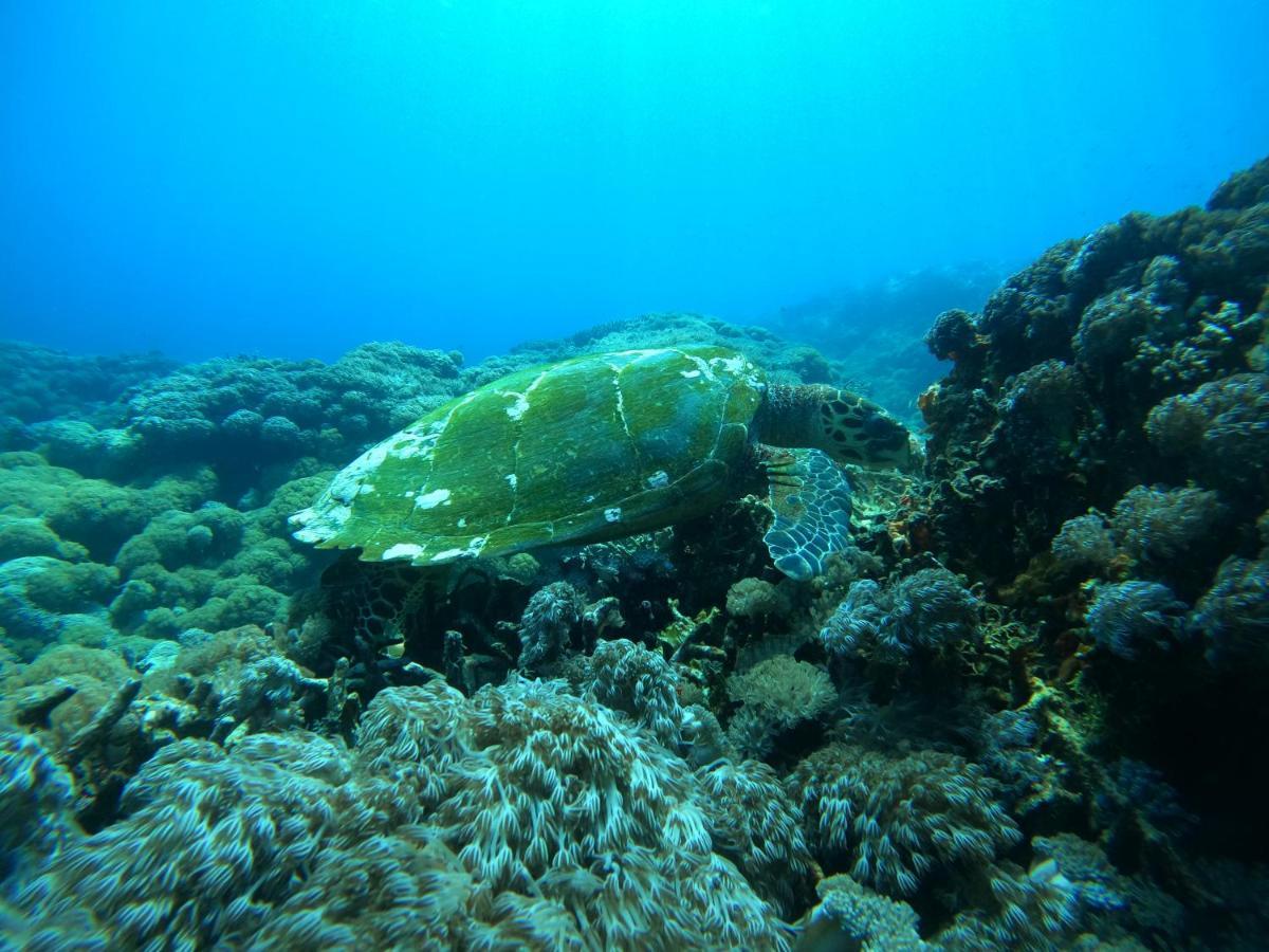 Lebaoh Nusa Cottage Lembongan Dış mekan fotoğraf