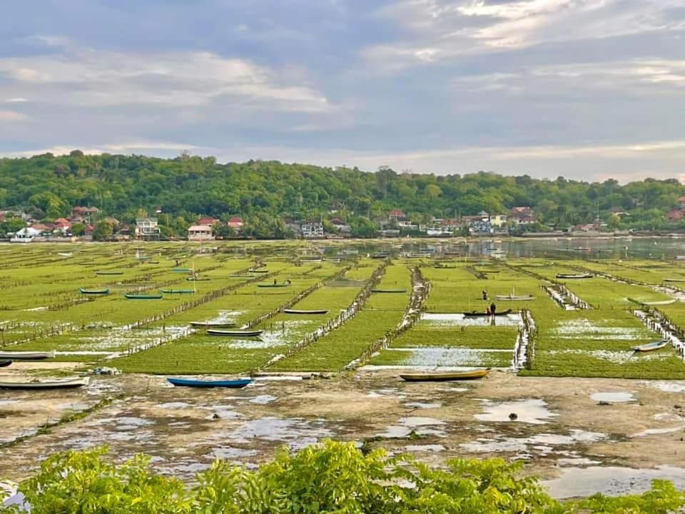 Lebaoh Nusa Cottage Lembongan Dış mekan fotoğraf